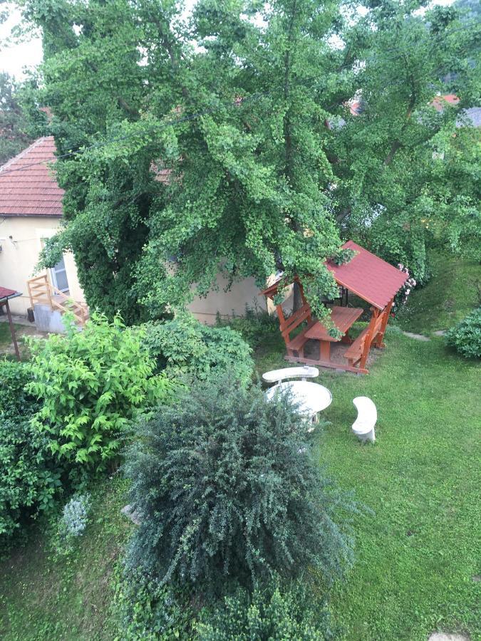 Bogoly Apartman Tokaj Εξωτερικό φωτογραφία