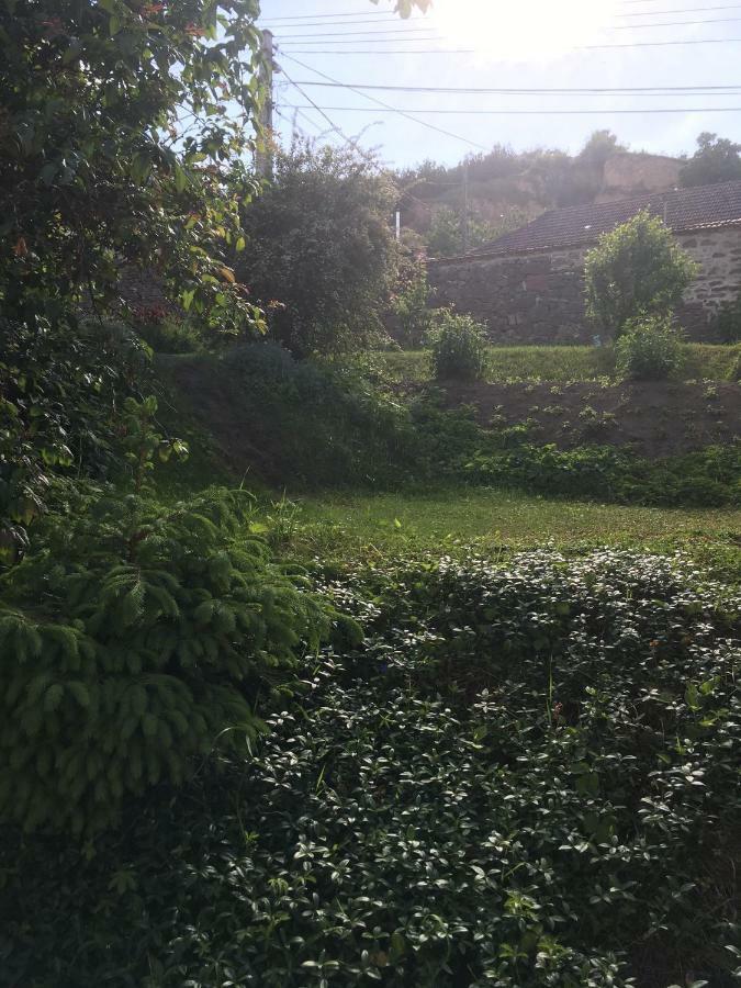 Bogoly Apartman Tokaj Εξωτερικό φωτογραφία