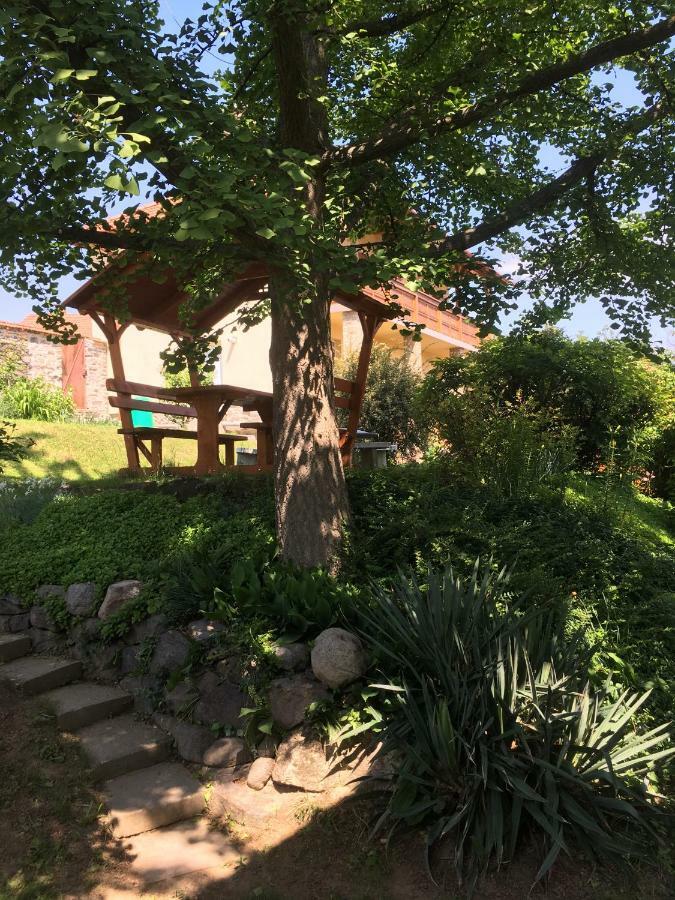 Bogoly Apartman Tokaj Εξωτερικό φωτογραφία